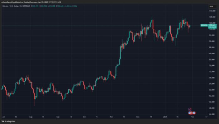 BTCUSD_2025-01-29_17-13-21.png