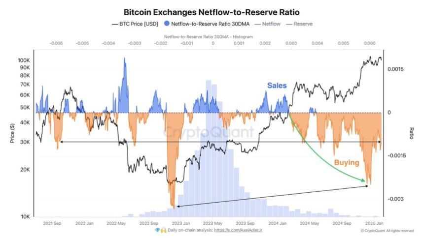 btc_0de648.jpeg