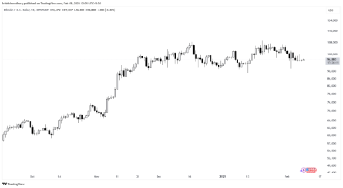 BTCUSD_2025-02-09_12-05-50.png