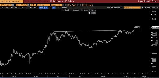 Bitcoin-chart-from-Raoul-Pal.jpg